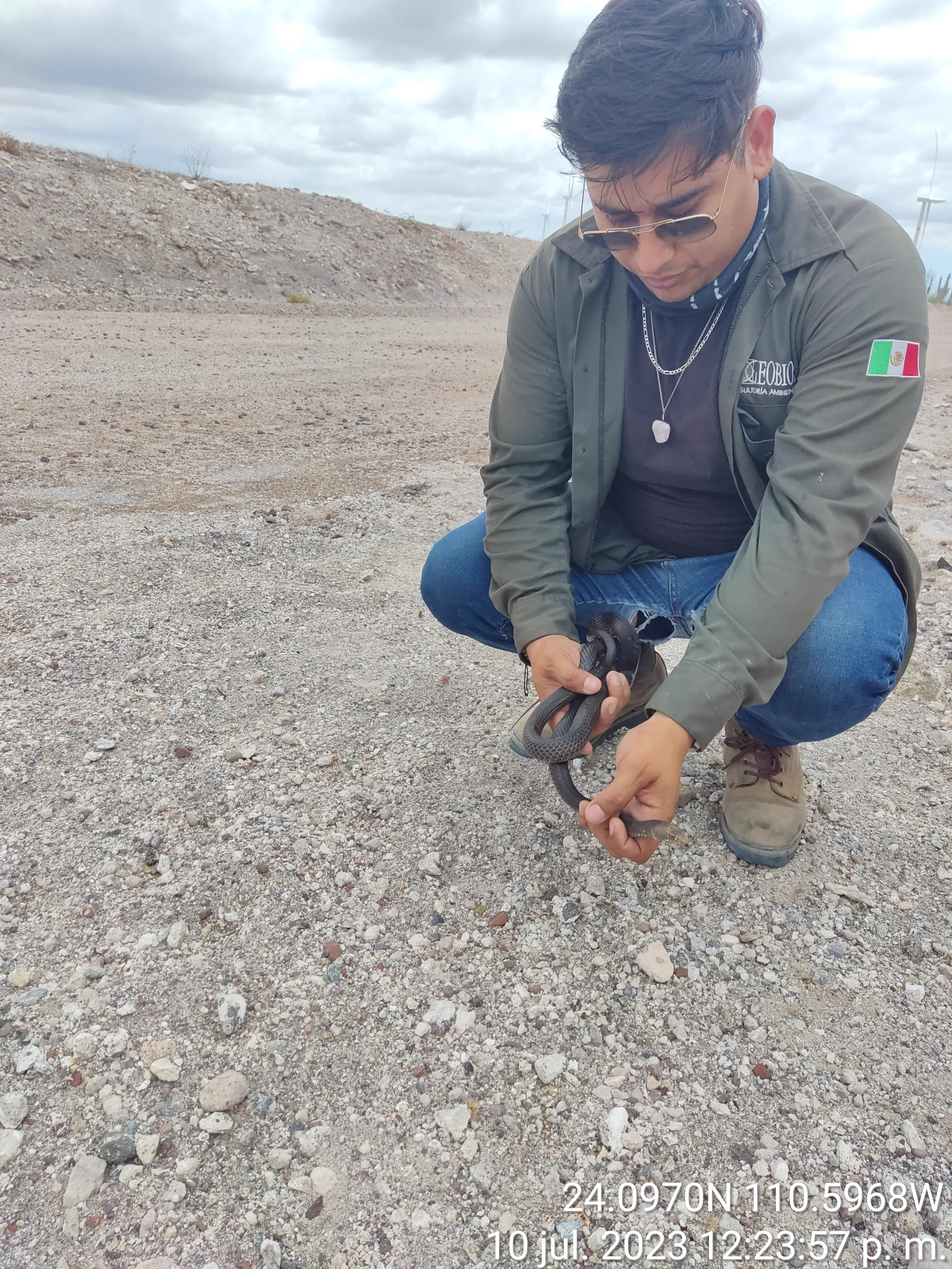 Documentación de fauna rescatada